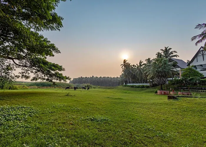 Sterling Palavelli By The Godavari